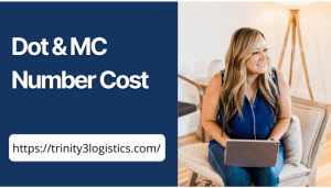 dot and mc number cost
