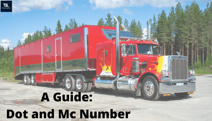 A Guide Dot and Mc Number